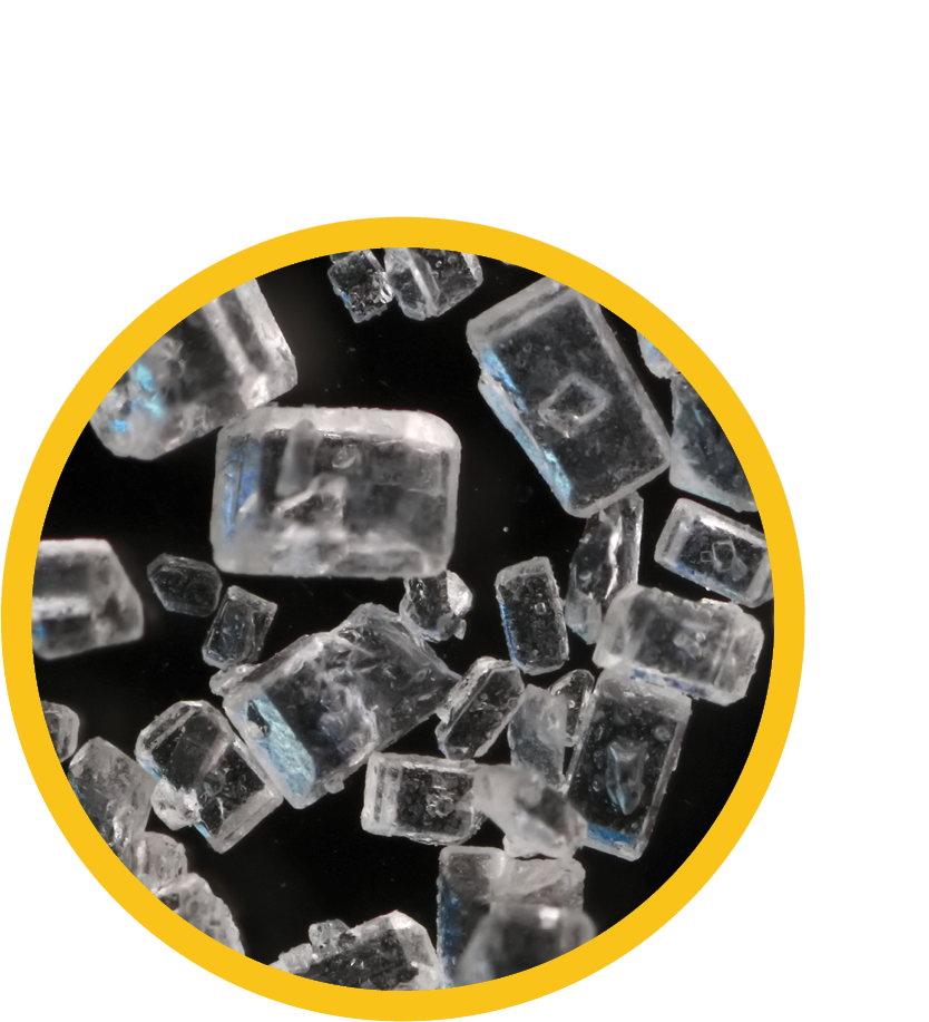 Unlocking-Flavors-Full-Potential---Flavor-Meets-The-Future---O'Taste-IMG113