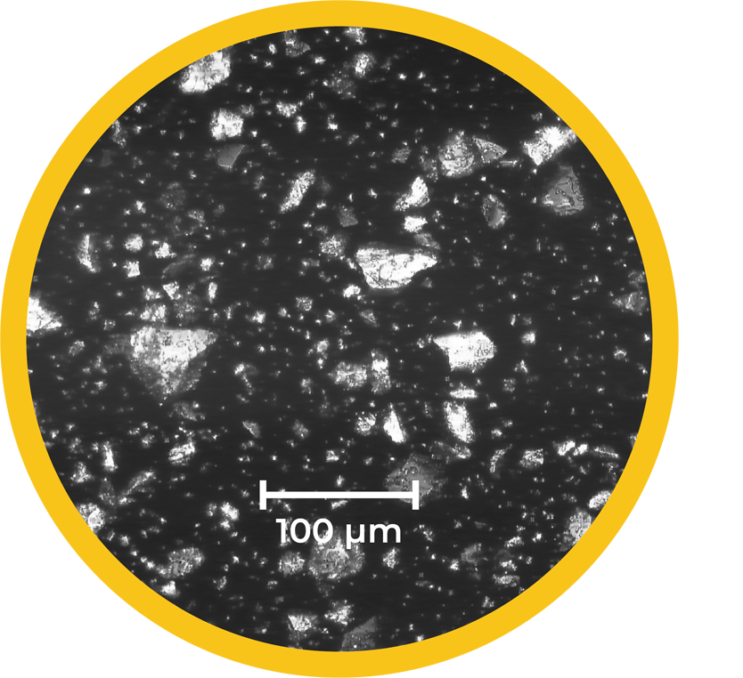 Unlocking-Flavors-Full-Potential---Flavor-Meets-The-Future---O'Taste-IMG173