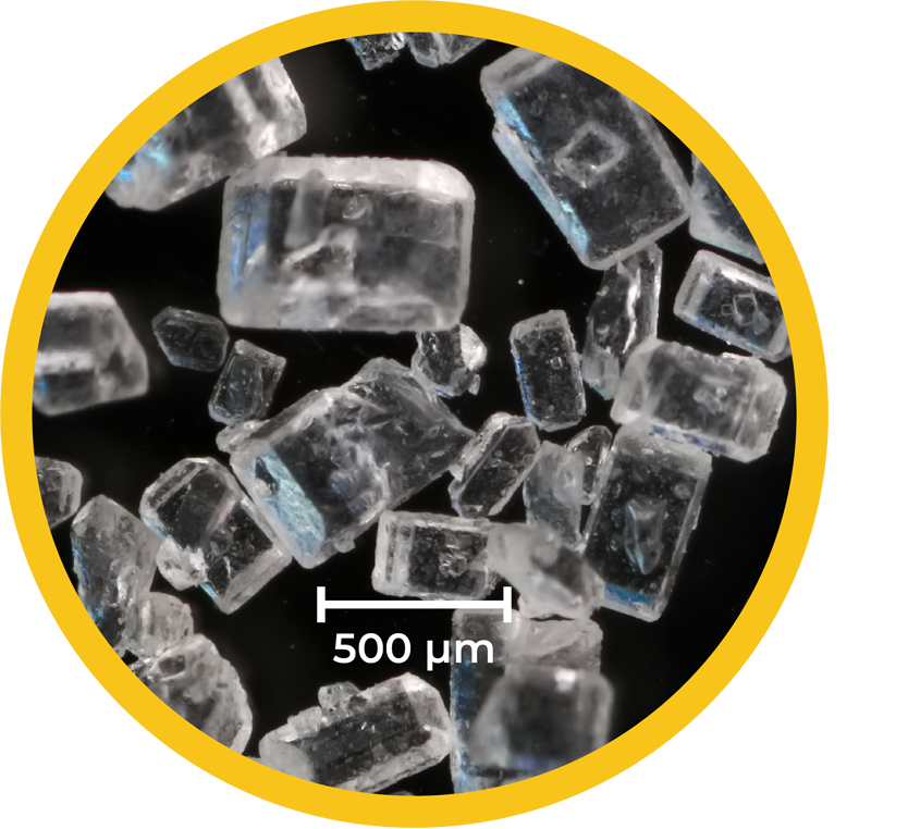 Unlocking-Flavors-Full-Potential---Flavor-Meets-The-Future---O'Taste-IMG174