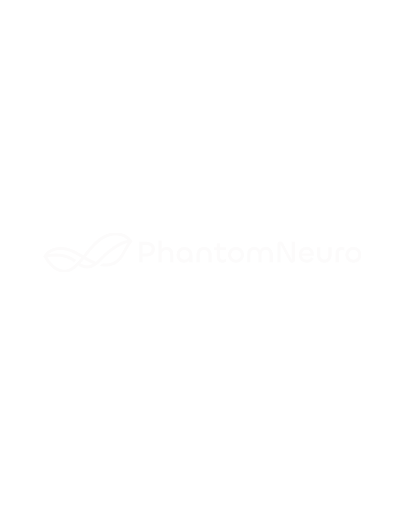 <h4>Neurotechnology & Robotics</h4>